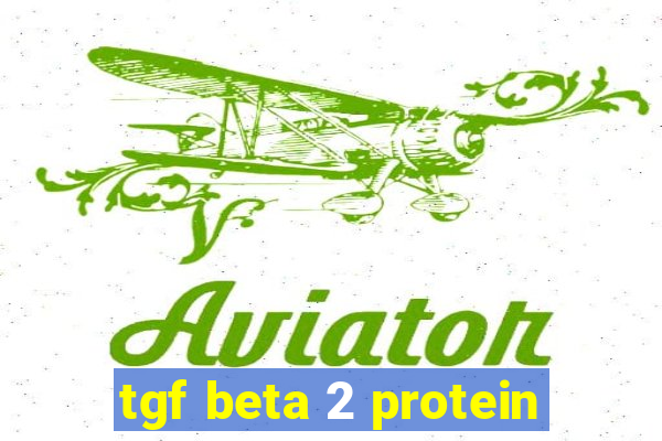 tgf beta 2 protein